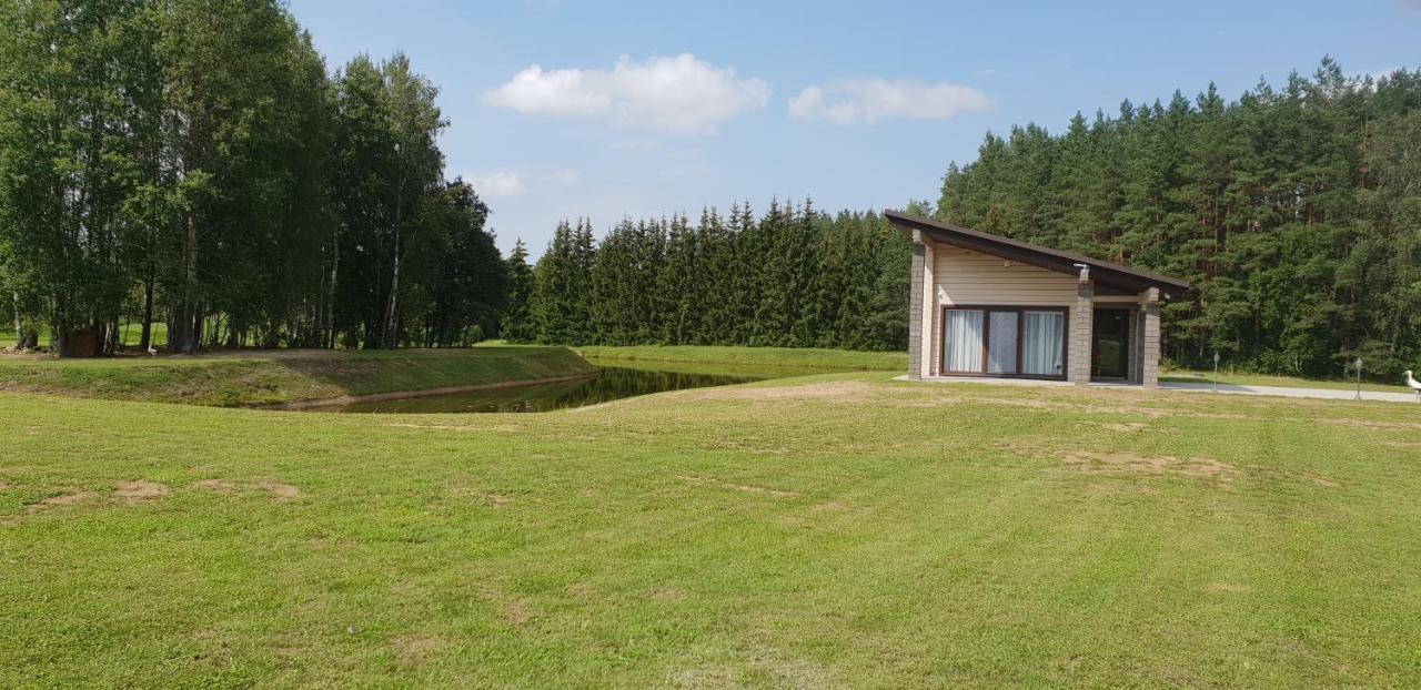 Lazariskio Apartamentai Martiniskenai Екстериор снимка